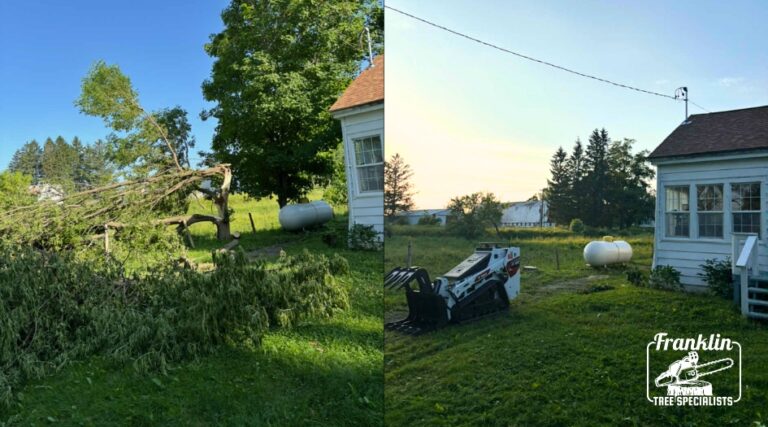 Storm Cleanup