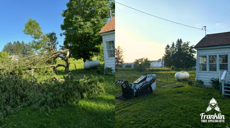 Storm Cleanup